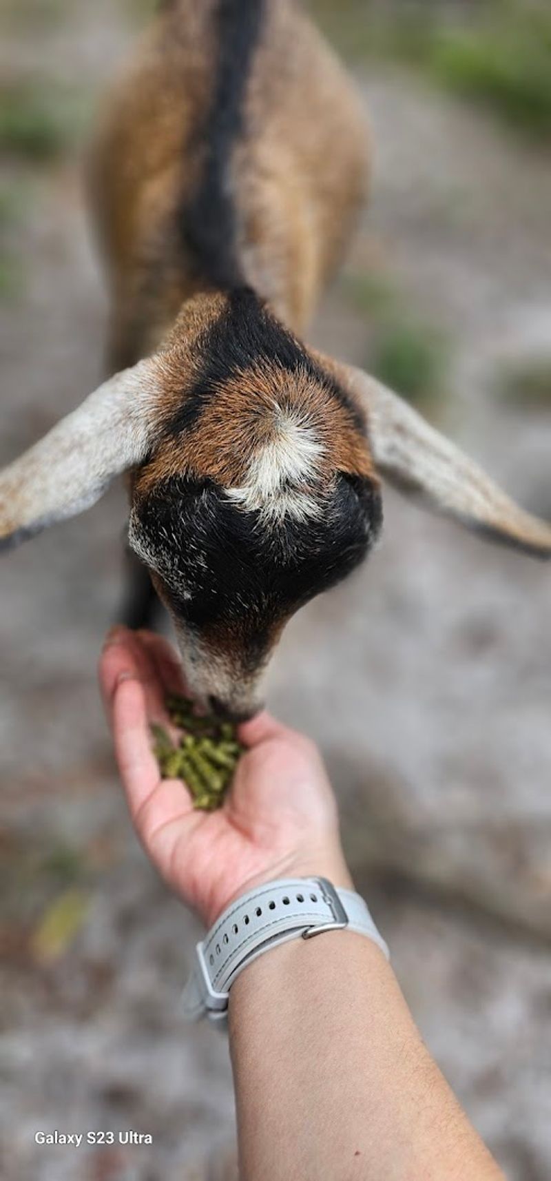 Add-Ons That Make It Even Better