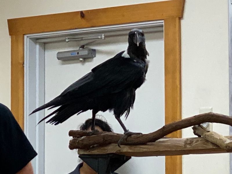 Addressing Tough Questions