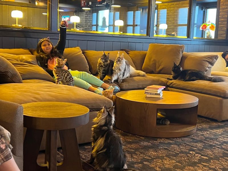 How to Book Your Visit and What to Expect