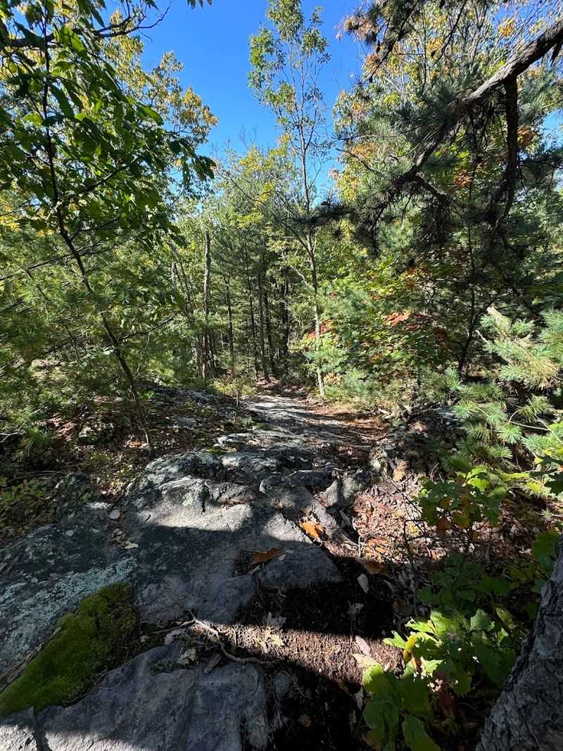 Extensive Hiking Trail Network