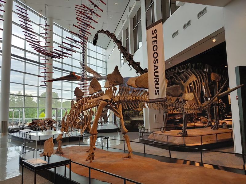 Science Museum of Minnesota (St. Paul)