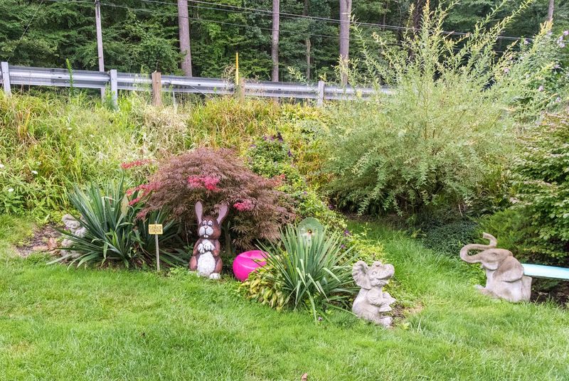 The Enchanted Garden And Pond