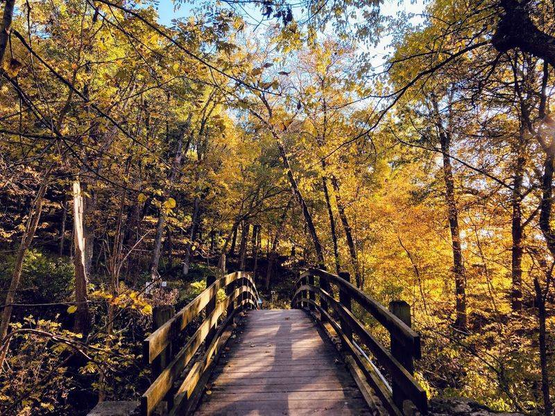 Where It Is: Savanna, Illinois and How to Get There