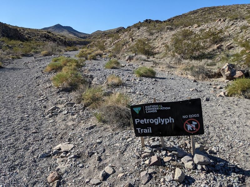 Petroglyph Trail (Sloan Canyon National Conservation Area)