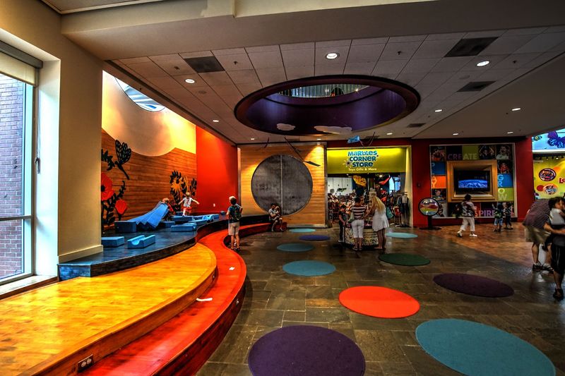 A Giant-Screen IMAX Theater Experience