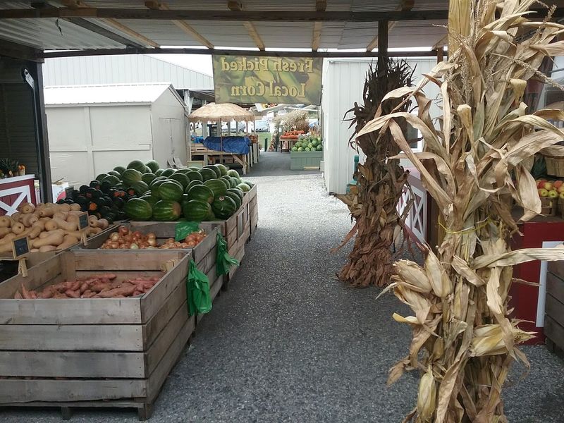 A Mix of Indoor and Outdoor Shopping