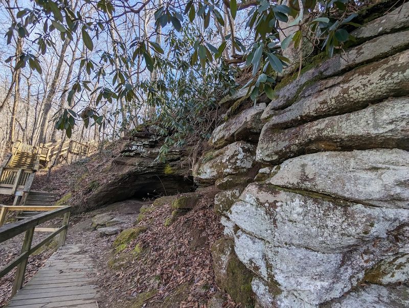 Visitor Info and Tips Before You Go