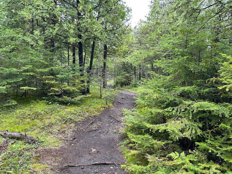 A Kid-Friendly Distance With Big Rewards