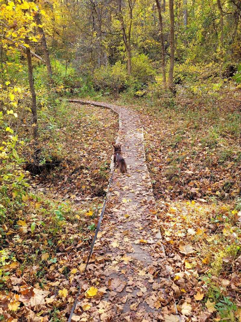 Family-Friendly Trails for All Ages