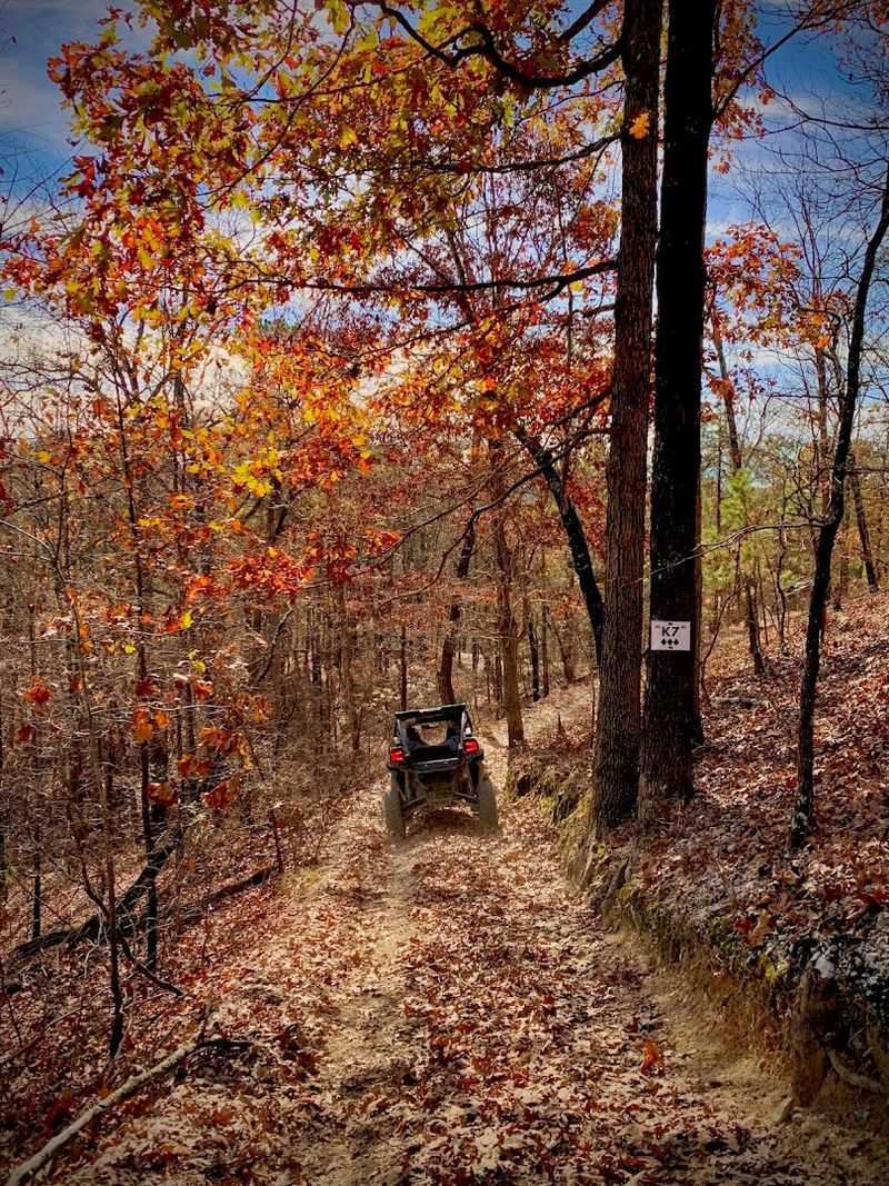 Forest Scenic Loops and Lookouts
