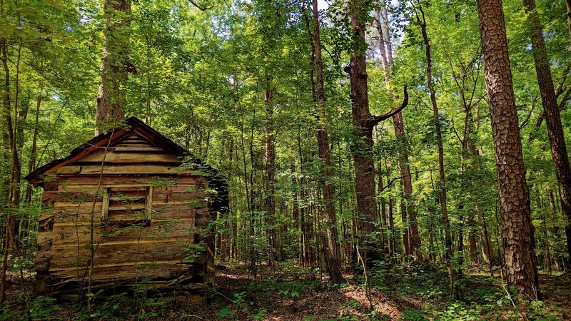 Camping and Quiet Evenings