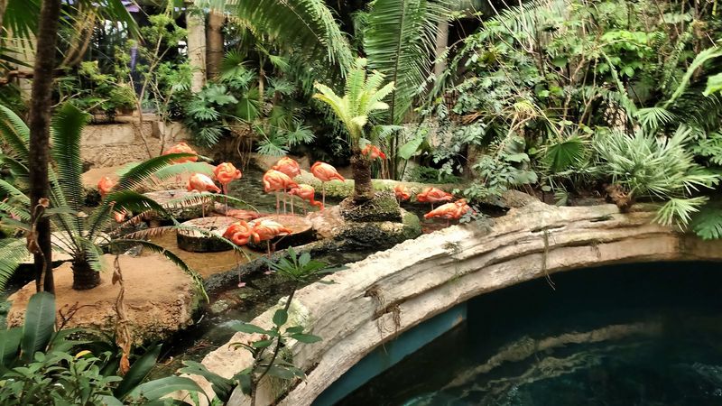 The Dallas World Aquarium