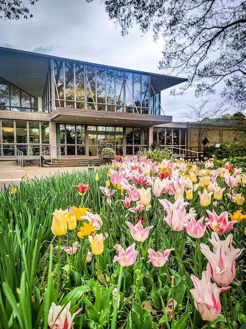 Pollinator Garden and seasonal color