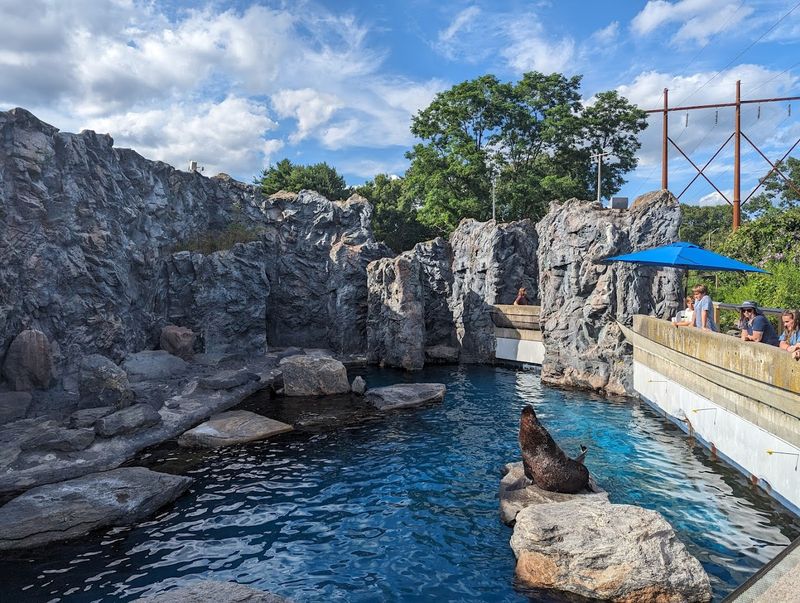 The Mystic Aquarium