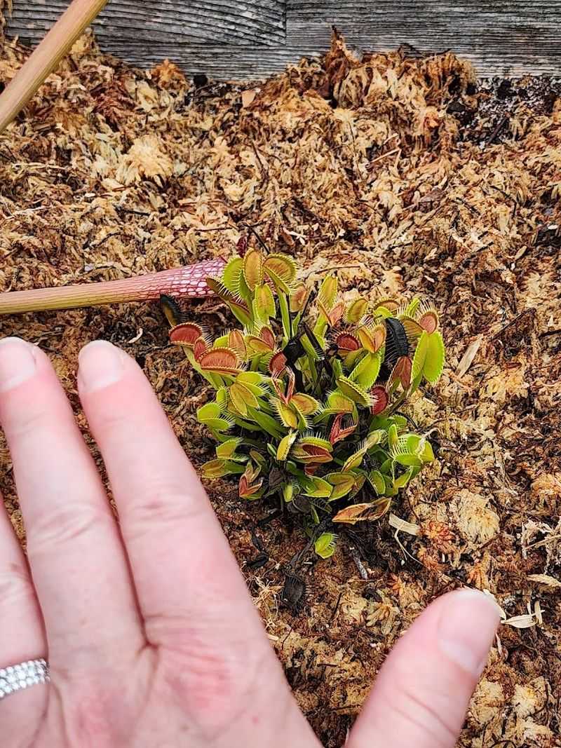 Interactive Plant Exhibits