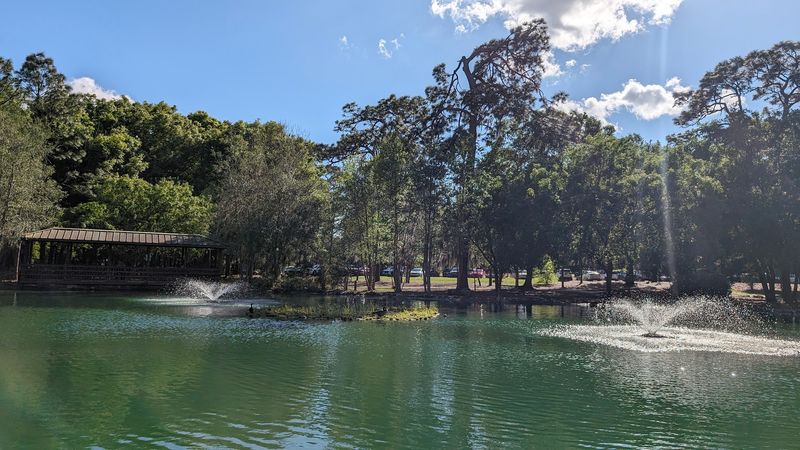 Peace-Focused Features: Zen Garden and Pond