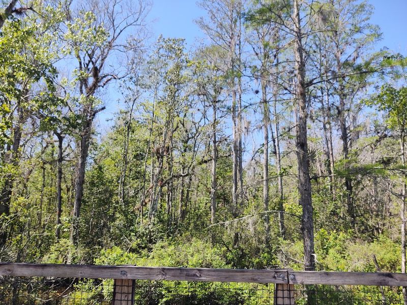 General James A. Van Fleet State Trail