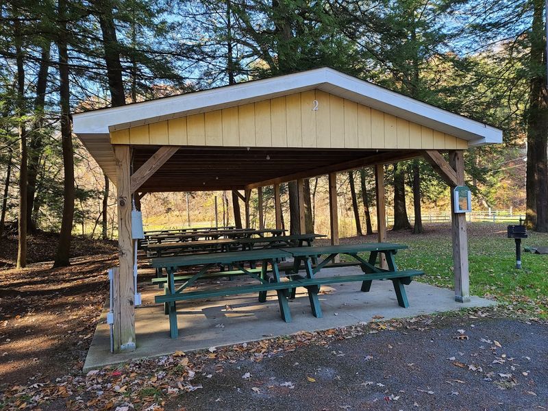 Current Park Life: Picnic Groves and Community Events