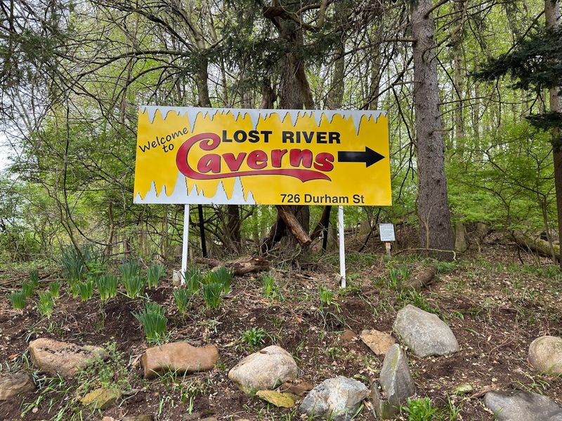 Local Logistics: Parking, Food, And Nearby Stops