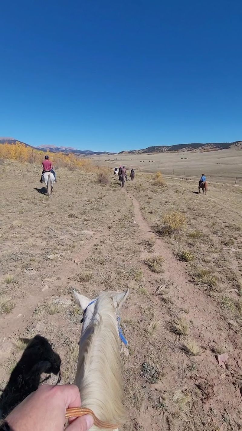 Horseback Riding Through True Backcountry