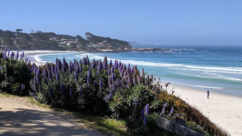 Carmel-by-the-Sea