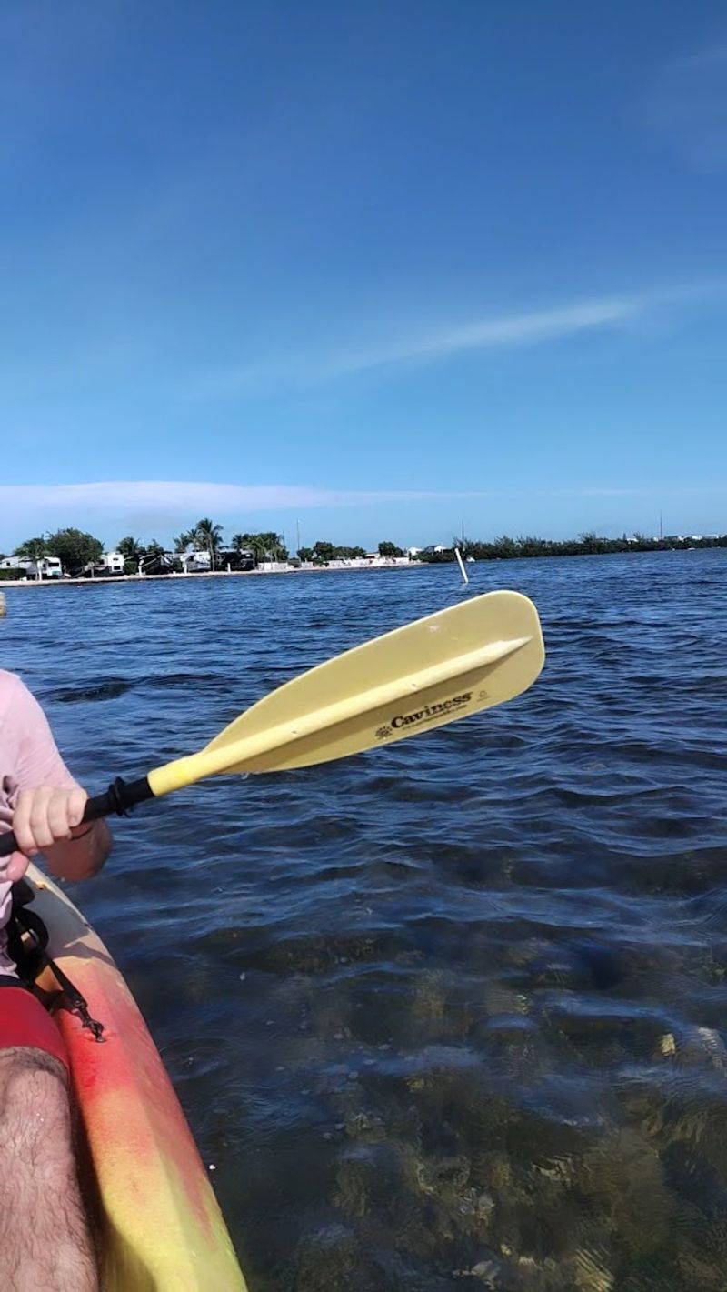 Community Vibes and Activities