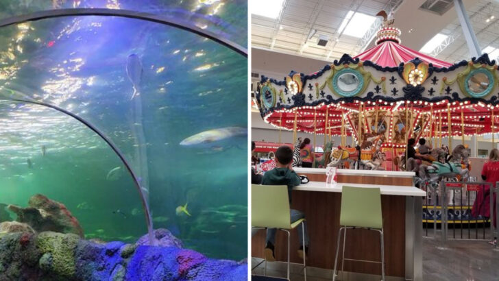 North Carolina’s Most Visited Tourist Attraction Is Not a Beach or a Mountain, It Is a Mall Near Charlotte