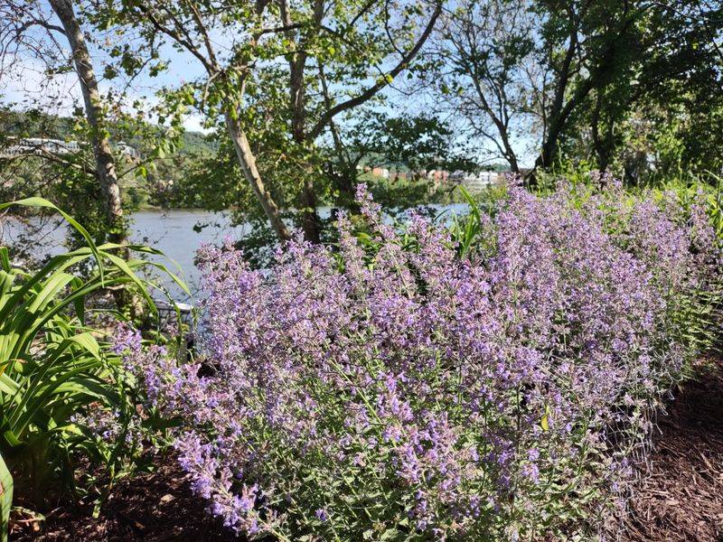 Three Rivers Heritage Trail & Riverfront &ndash; Pittsburgh