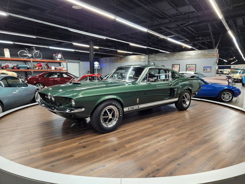 Ever-Changing Exhibits That Reward Repeat Visitors