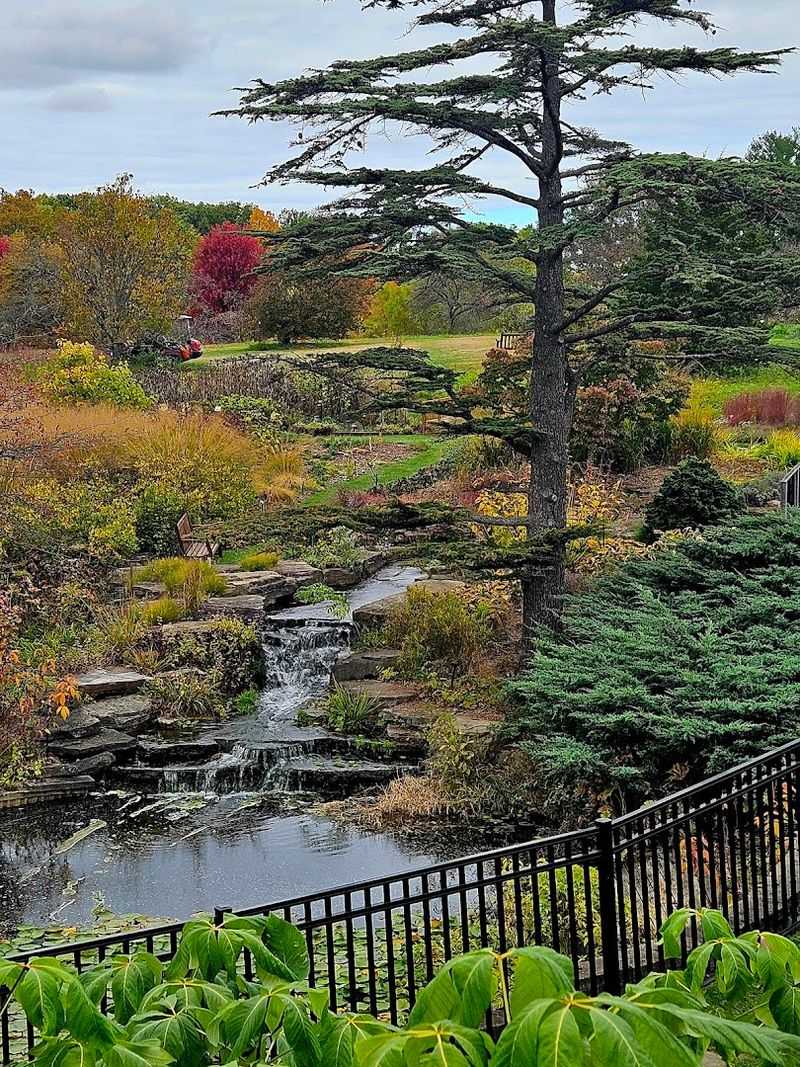 Wrapping Up Your Visit in the Preserve