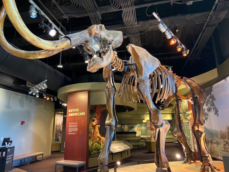 Dinosaur Hall: Roars, Bones, and Science