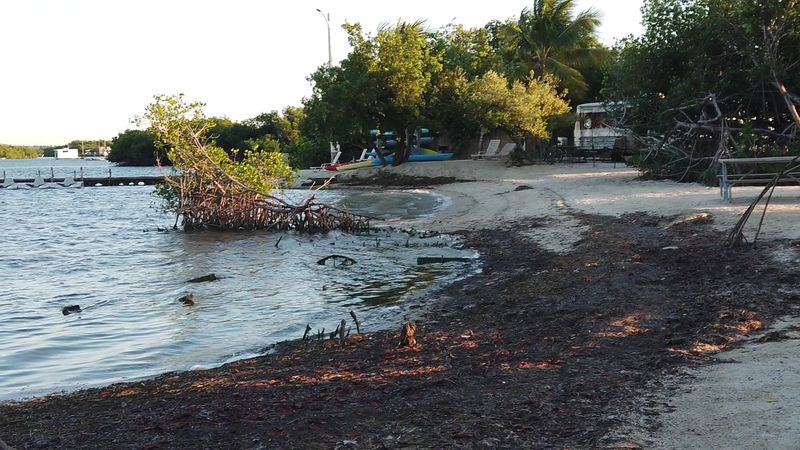 Sunrise Magic From Your Rig