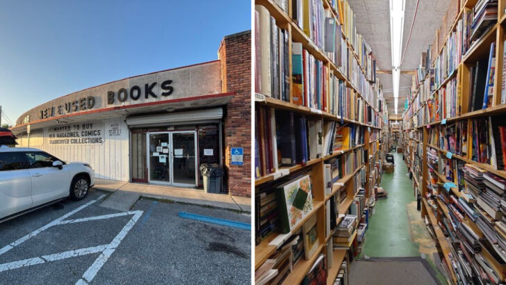 One Florida Bookstore Has Spent Nearly Five Decades Collecting Books and It Still Grows Every Day