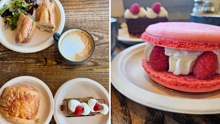 One Florida bakery is run by two pastry chefs from the French Alps and every bite tastes like Paris