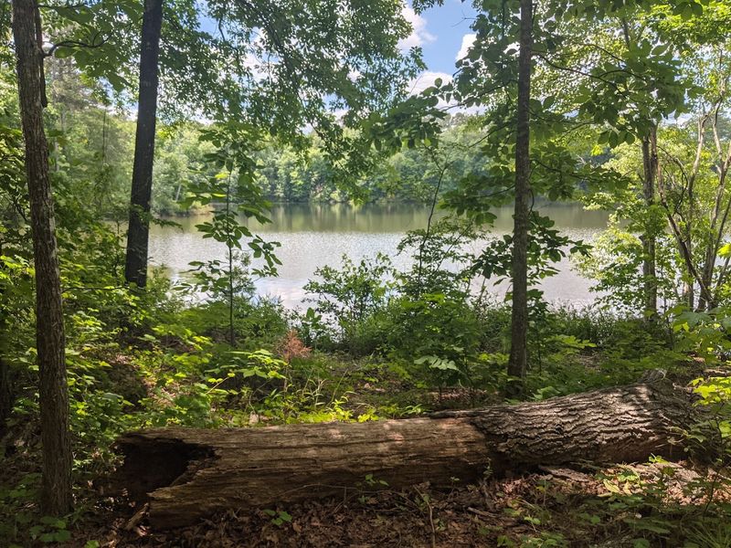 Campgrounds: Old Loop Charm and New Full Hookups