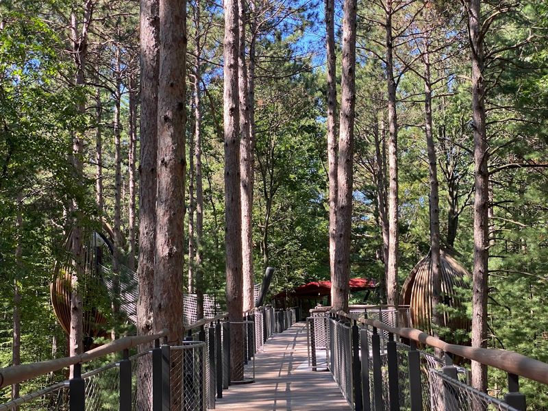 The Whiting Forest Canopy Walk