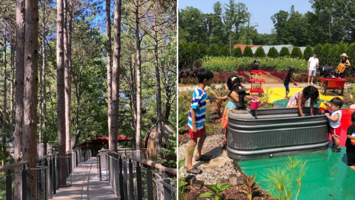 One of America’s Longest Canopy Walks Is Hidden Inside This Michigan Garden
