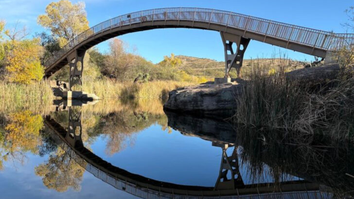 One of Arizona&rsquo;s Most Beautiful State Parks Has a Desert Lake You Can Actually Swim In
