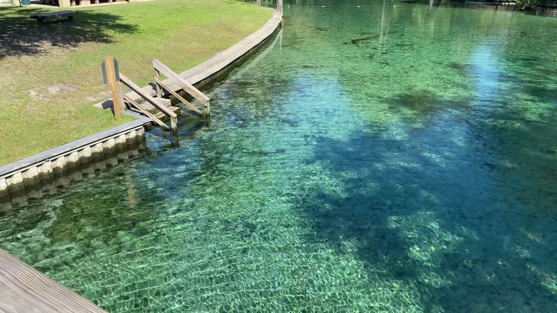 A Spring Run Flowing Into the Suwannee River