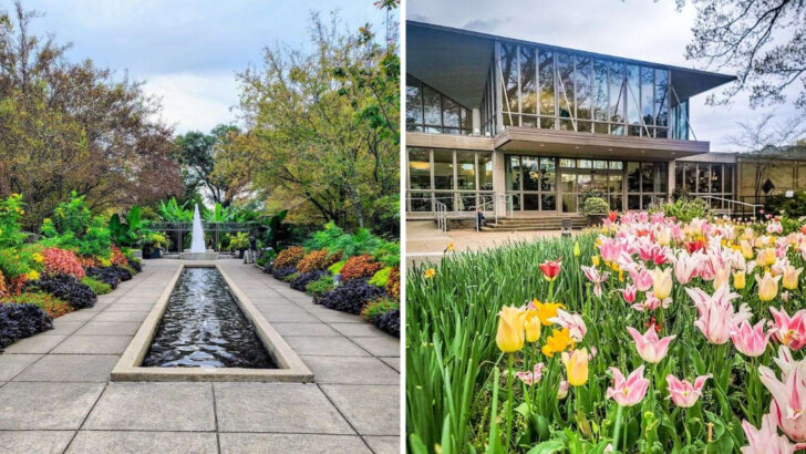 One of the most beautiful places in Tennessee is a 96-acre garden in the middle of Memphis