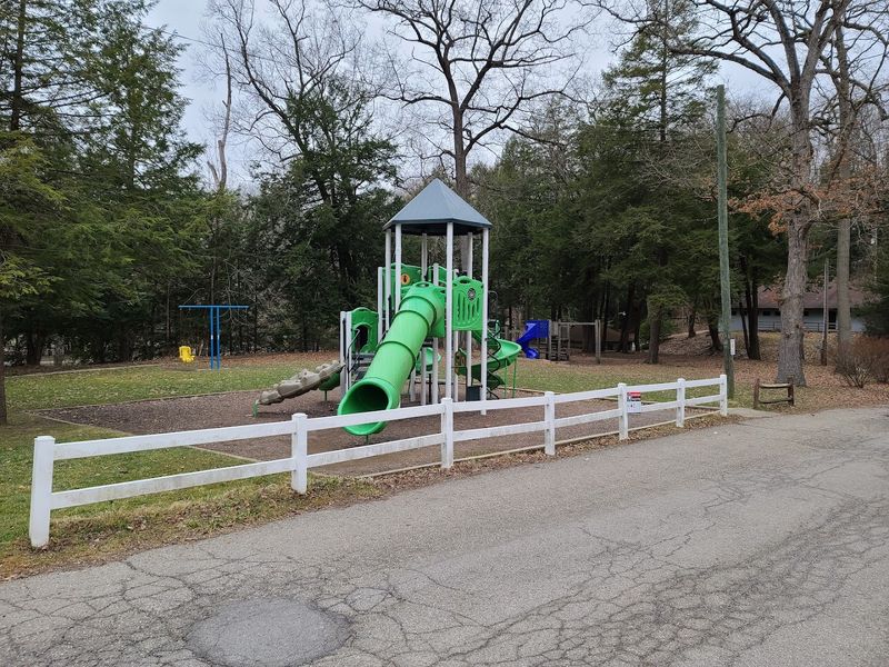 The Golden Age: Early Rides and Attractions