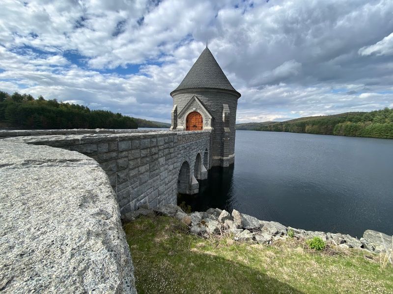 Why It Appeals to Nature Lovers and Minimalists