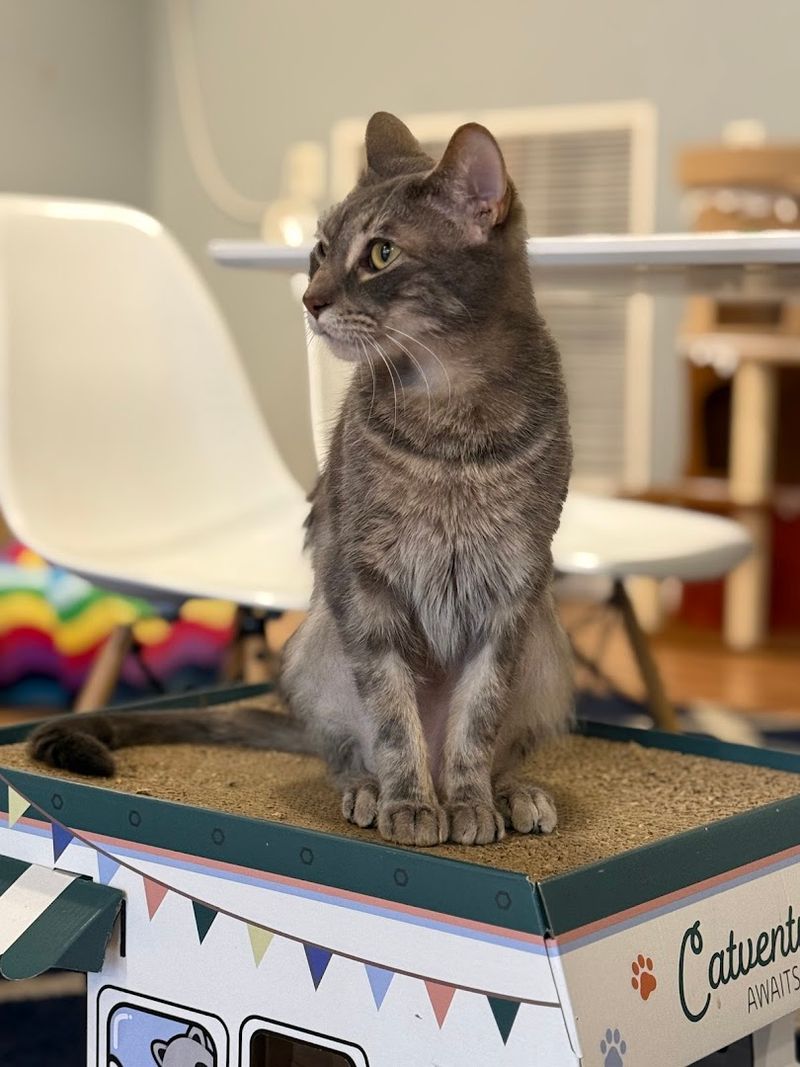 A Unique Partnership With the Cleveland APL