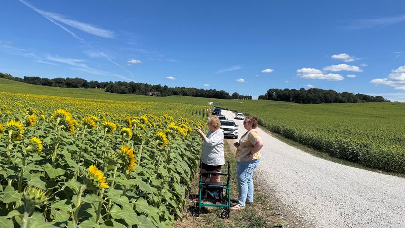 Free Entry for Everyone, Every Single Day