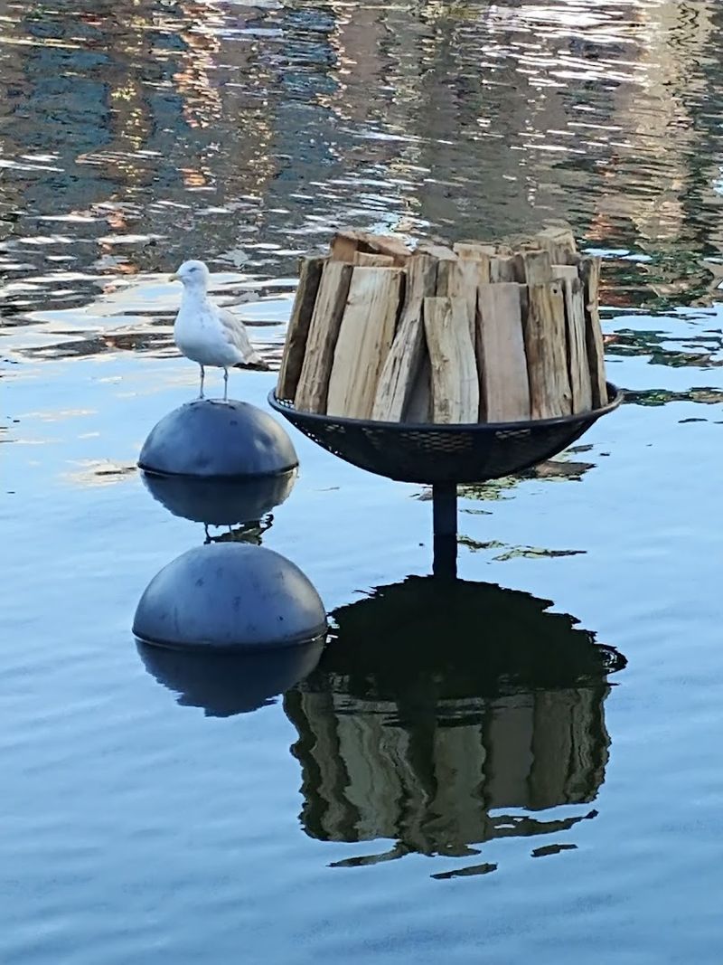 Designed by Artist Barnaby Evans