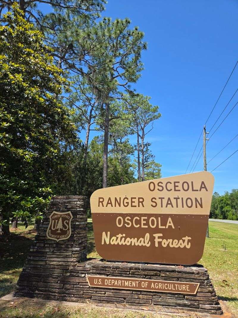 Dispersed And Primitive Camping Tips