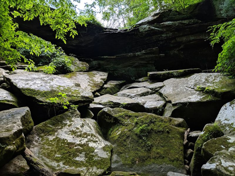 Jackson Falls Recreation Area - Jackson Falls Trail
