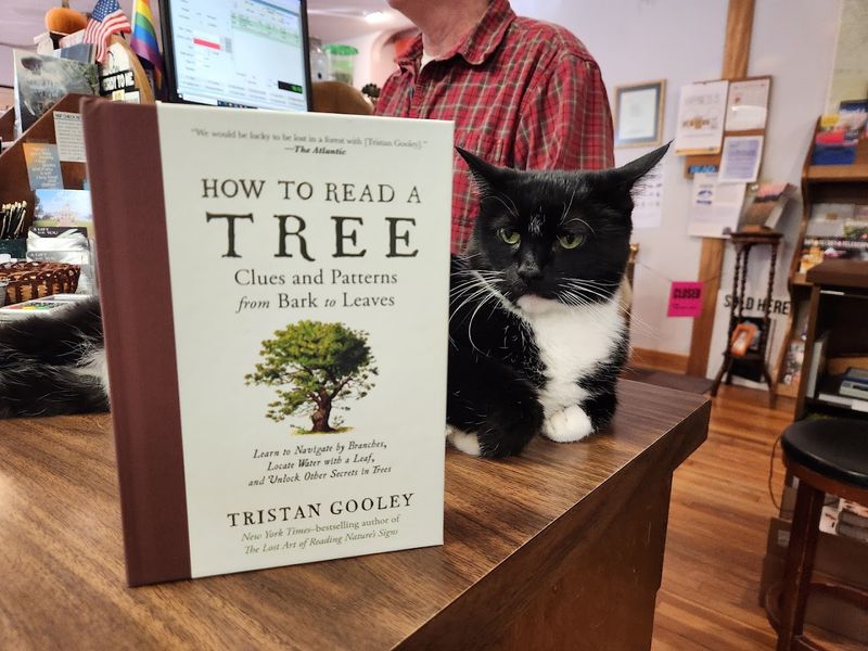 City Lights Bookstore &ndash; Sylva