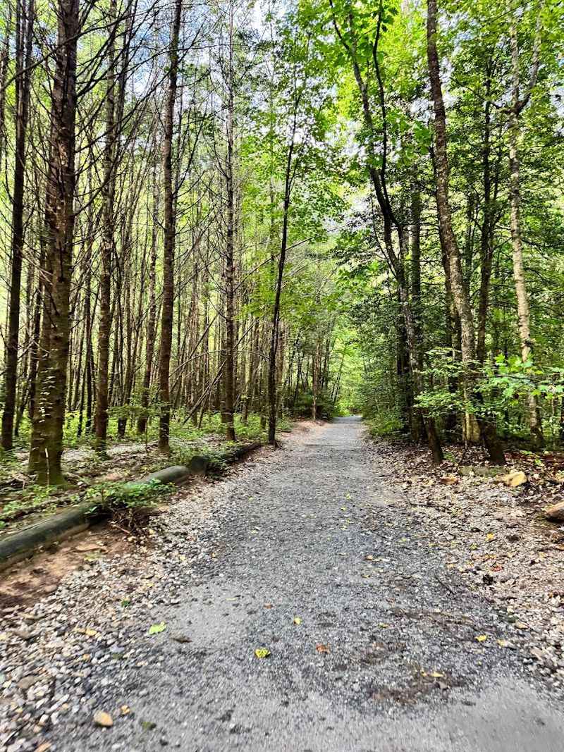 Trail layout and the best loop direction