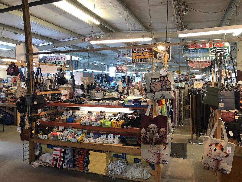 Seasonal rhythms and crowd patterns